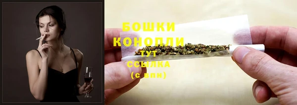 амф Богданович
