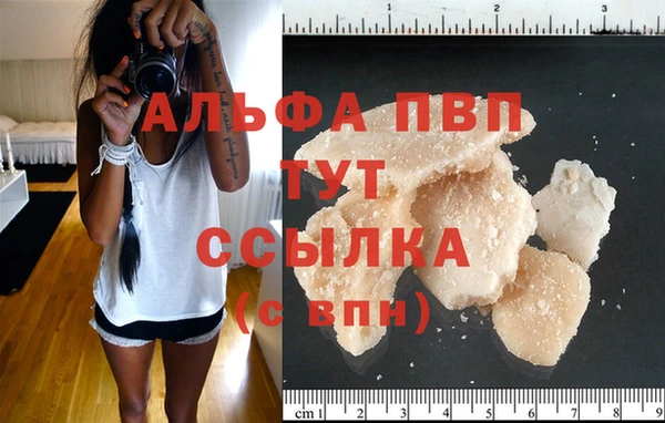 амф Богданович
