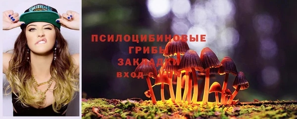 экстази Богородск