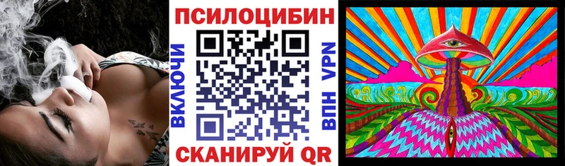 Псилоцибиновые грибы GOLDEN TEACHER  MEGA вход  Долинск 